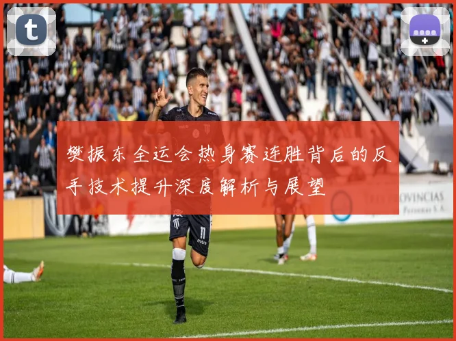 樊振东全运会热身赛连胜背后的反手技术提升深度解析与展望